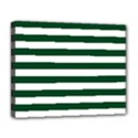 Deluxe Canvas 20  x 16  (Stretched) 