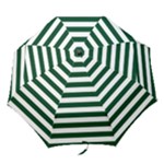 Horizontal Stripes - White and Forest Green Folding Umbrella