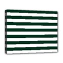 Deluxe Canvas 20  x 16  (Stretched) 