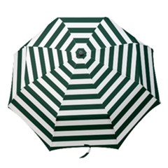 Folding Umbrella 