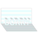 Horizontal Stripes - White and Bubbles Cyan SORRY 3D Greeting Card (8x4)
