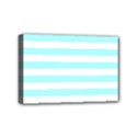 Mini Canvas 6  x 4  (Stretched) 