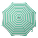 Horizontal Stripes - White and Aquamarine Hook Handle Umbrella (Large)
