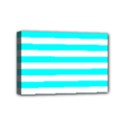 Mini Canvas 6  x 4  (Stretched) 