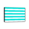 Mini Canvas 6  x 4  (Stretched) 