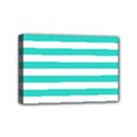 Mini Canvas 6  x 4  (Stretched) 
