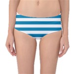 Horizontal Stripes - White and Cerulean Mid-Waist Bikini Bottoms