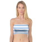 Horizontal Stripes - White and Baby Blue Bandeau Top