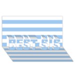 Horizontal Stripes - White and Baby Blue BEST SIS 3D Greeting Card (8x4)