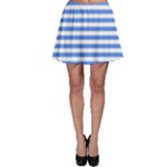 Horizontal Stripes - White and Cornflower Blue Skater Skirt