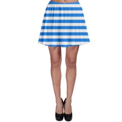 Skater Skirt 