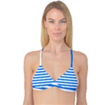 Horizontal Stripes - White and Dodger Blue Reversible Tri Bikini Top