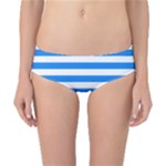 Horizontal Stripes - White and Dodger Blue Classic Bikini Bottoms