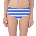 Horizontal Stripes - White and Royal Blue Mid-Waist Bikini Bottoms