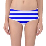 Horizontal Stripes - White and Blue Mid-Waist Bikini Bottoms