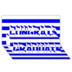 Horizontal Stripes - White and Blue Congrats Graduate 3D Greeting Card (8x4)