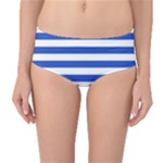 Horizontal Stripes - White and Cerulean Blue Mid-Waist Bikini Bottoms