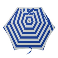 Mini Folding Umbrella 