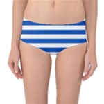 Horizontal Stripes - White and Cobalt Blue Mid-Waist Bikini Bottoms