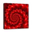 Mini Canvas 8  x 8  (Stretched) 