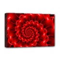 Deluxe Canvas 18  x 12  (Stretched) 