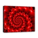 Deluxe Canvas 20  x 16  (Stretched) 