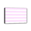 Mini Canvas 6  x 4  (Stretched) 
