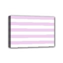 Mini Canvas 6  x 4  (Stretched) 
