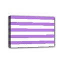 Mini Canvas 6  x 4  (Stretched) 