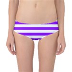 Horizontal Stripes - White and Violet Classic Bikini Bottoms