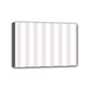 Mini Canvas 6  x 4  (Stretched) 