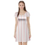 Vertical Stripes - White and Misty Rose Pink Short Sleeve Skater Dress
