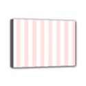 Mini Canvas 7  x 5  (Stretched) 