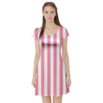 Vertical Stripes - White and Flamingo Pink Short Sleeve Skater Dress