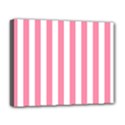 Deluxe Canvas 20  x 16  (Stretched) 
