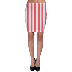 Bodycon Skirt 
