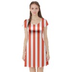 Vertical Stripes - White and Tomato Red Short Sleeve Skater Dress