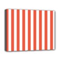 Deluxe Canvas 20  x 16  (Stretched) 