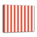 Deluxe Canvas 24  x 20  (Stretched) 