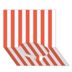 Vertical Stripes - White and Tomato Red Circle Bottom 3D Greeting Card (7x5)