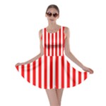 Vertical Stripes - White and Red Skater Dress