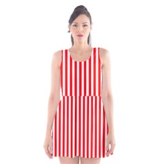 Scoop Neck Skater Dress 