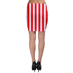 Bodycon Skirt 