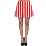Vertical Stripes - White and Red Skater Skirt