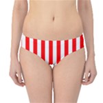 Vertical Stripes - White and Red Hipster Bikini Bottoms