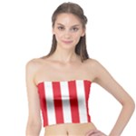 Vertical Stripes - White and Alizarin Red Tube Top