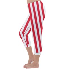 Capri Winter Leggings Back Capri Winter Leggings Back