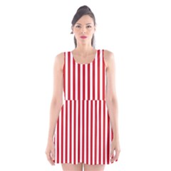 Scoop Neck Skater Dress 