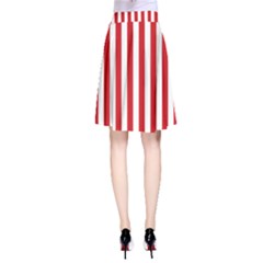 A-Line Skirt 