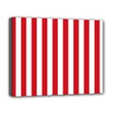 Deluxe Canvas 20  x 16  (Stretched) 